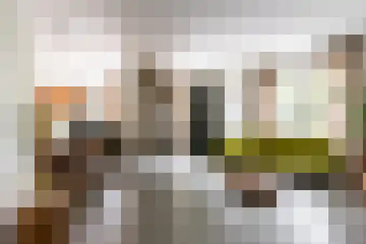 Zeilmakersstraat 60 Rotterdam thumbnail 18