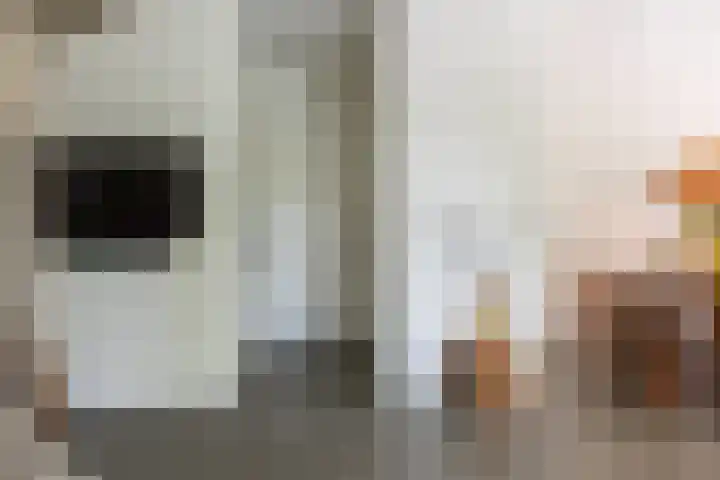 Zeilmakersstraat 60 Rotterdam thumbnail 23