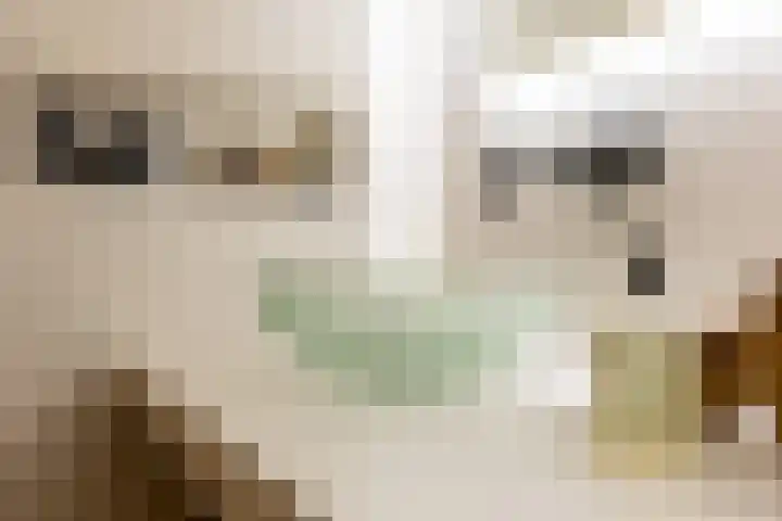 Zeilmakersstraat 60 Rotterdam thumbnail 32