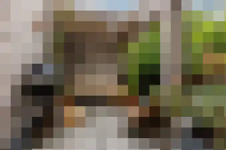 Zeilmakersstraat 60 Rotterdam thumbnail 43