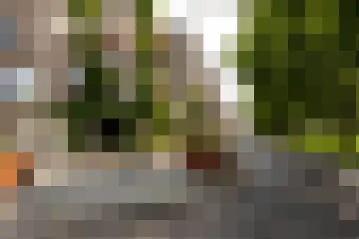 Zeilmakersstraat 60 Rotterdam thumbnail 58