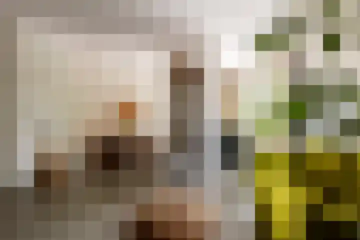 Zeilmakersstraat 60 Rotterdam thumbnail 6