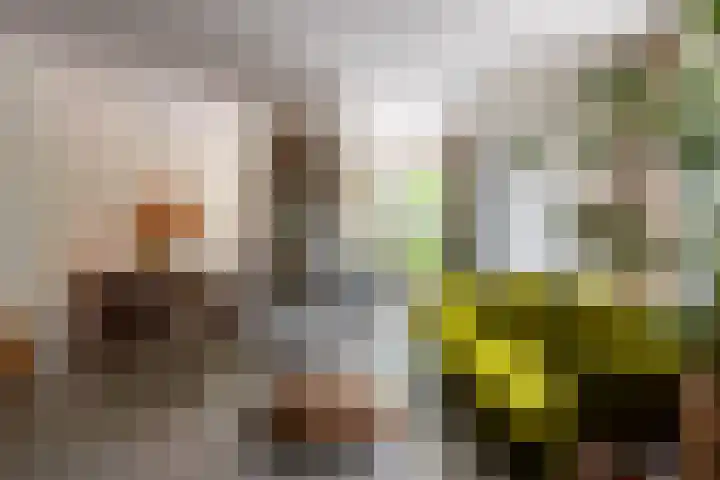 Zeilmakersstraat 60 Rotterdam thumbnail 63