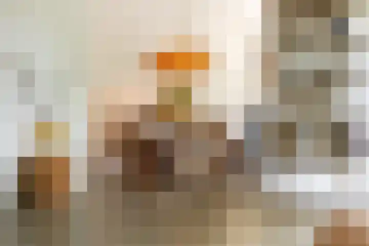 Zeilmakersstraat 60 Rotterdam thumbnail 8