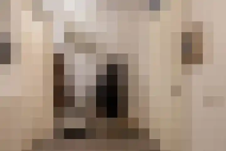 Zeilmakersstraat 8 Rotterdam thumbnail 32