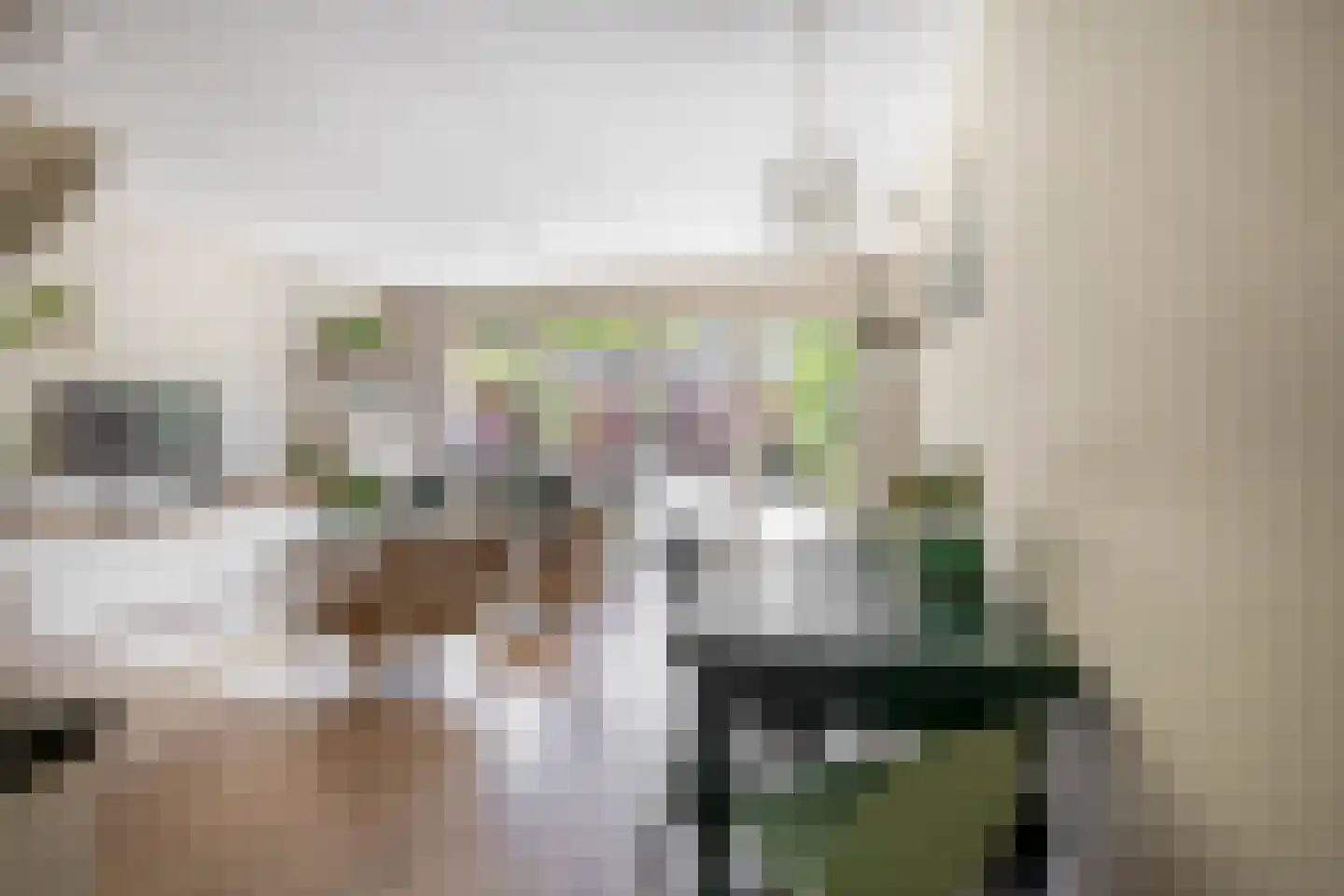 Zeilmakerstraat 15 's-Gravenzande thumbnail 10