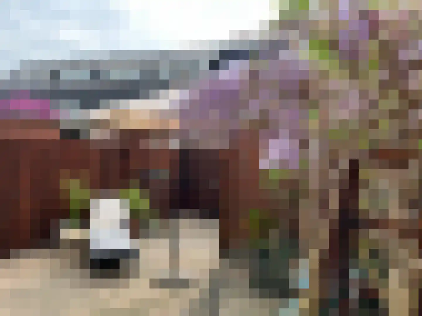 Zeilmakerstraat 15 's-Gravenzande thumbnail 17