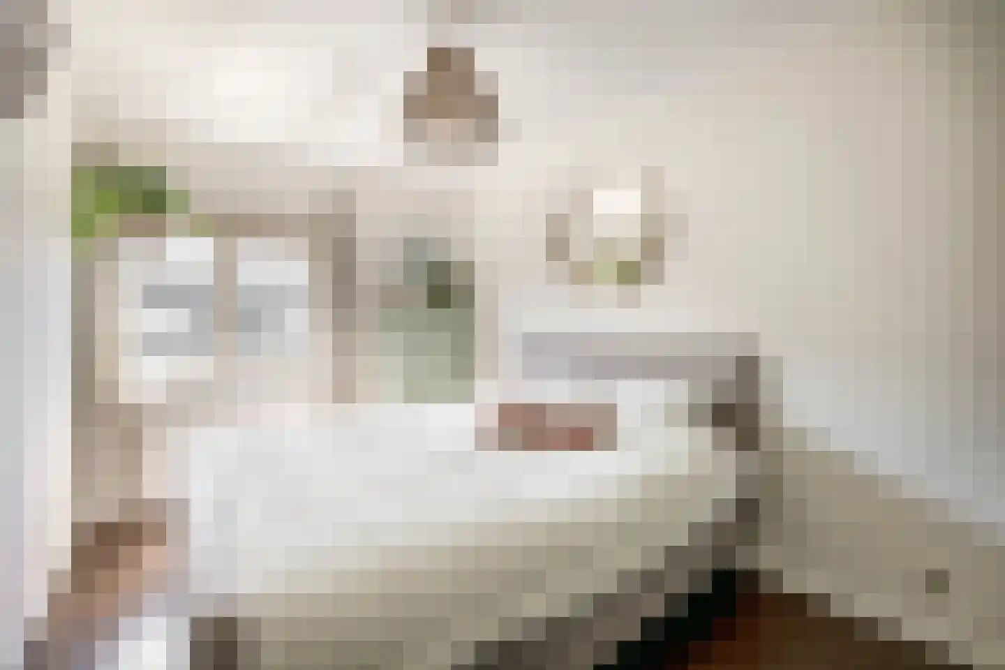 Zeilmakerstraat 15 's-Gravenzande thumbnail 21