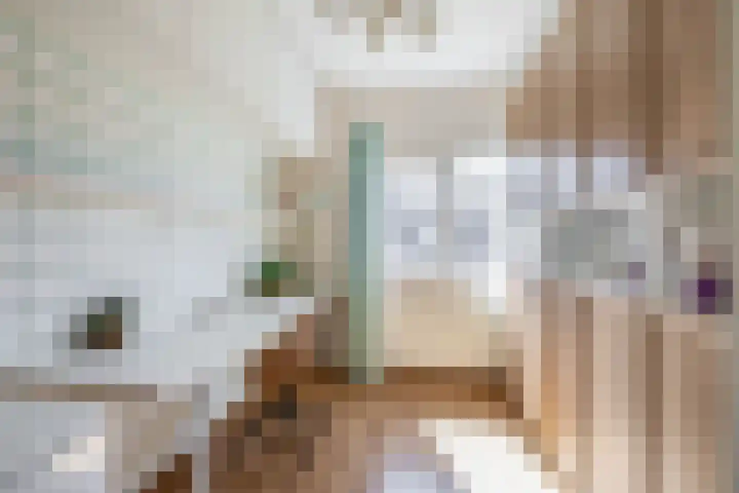 Zeilmakerstraat 15 's-Gravenzande thumbnail 26