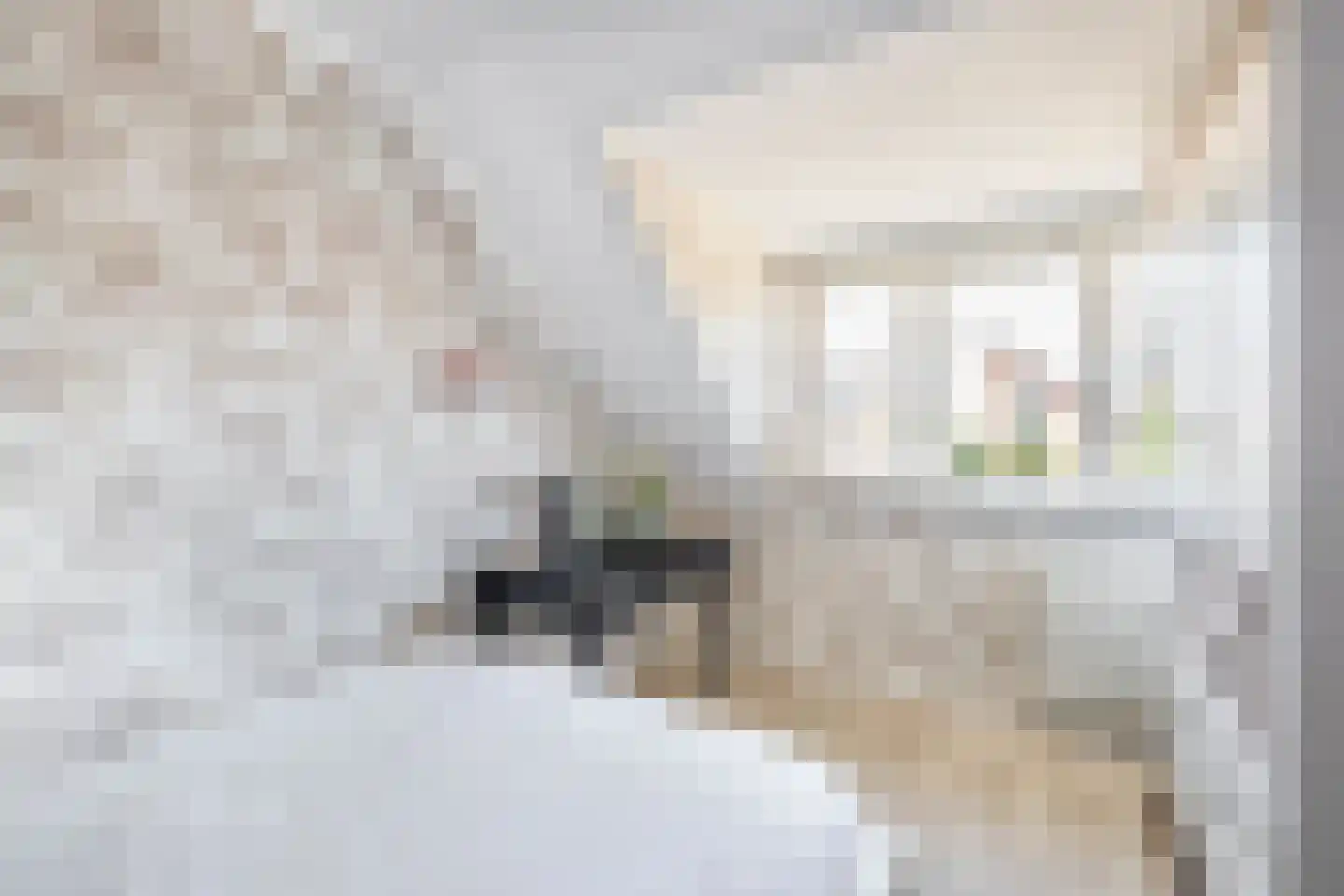 Zeilmakerstraat 15 's-Gravenzande thumbnail 30