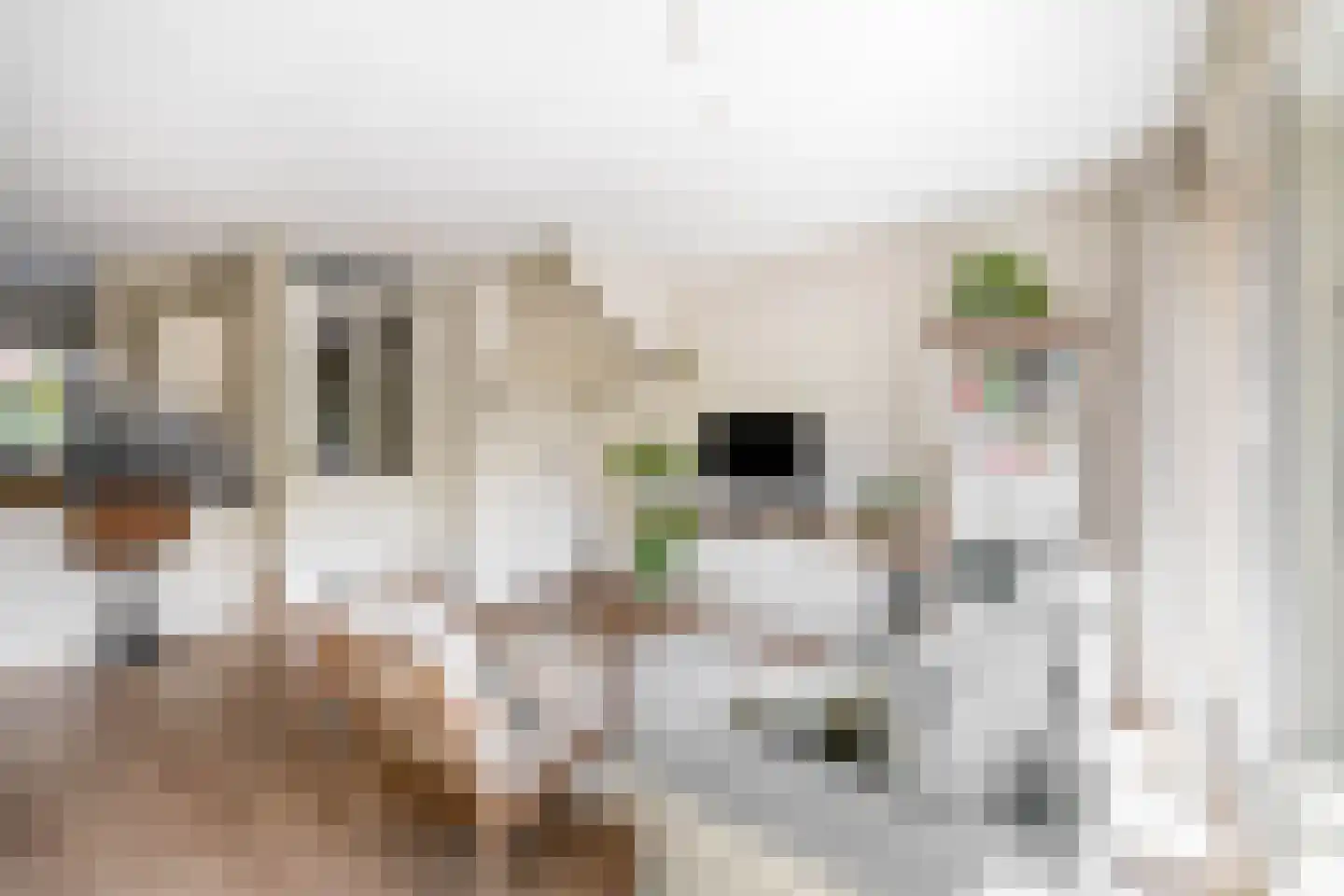 Zeilmakerstraat 15 's-Gravenzande thumbnail 8