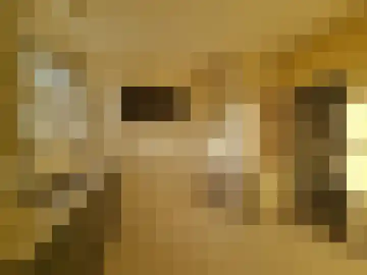 Zeilmakerstraat 2 Dronten thumbnail 10