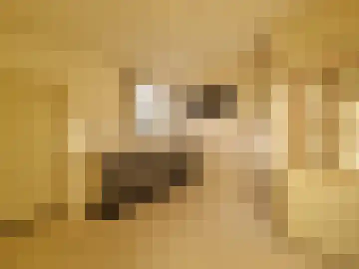 Zeilmakerstraat 2 Dronten thumbnail 12