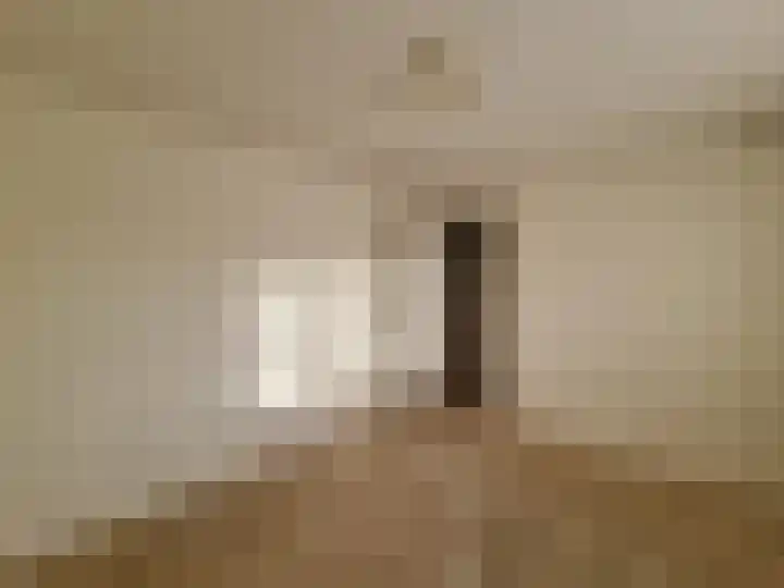 Zeilmakerstraat 2 Dronten thumbnail 19