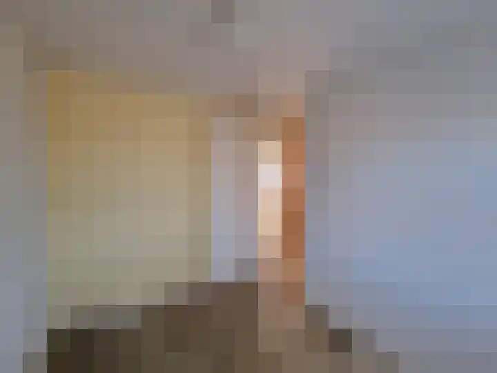 Zeilmakerstraat 2 Dronten thumbnail 22