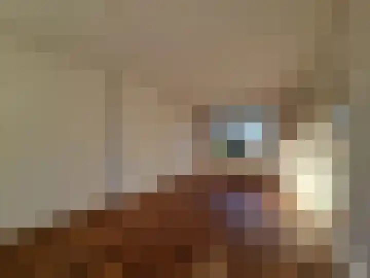 Zeilmakerstraat 2 Dronten thumbnail 7