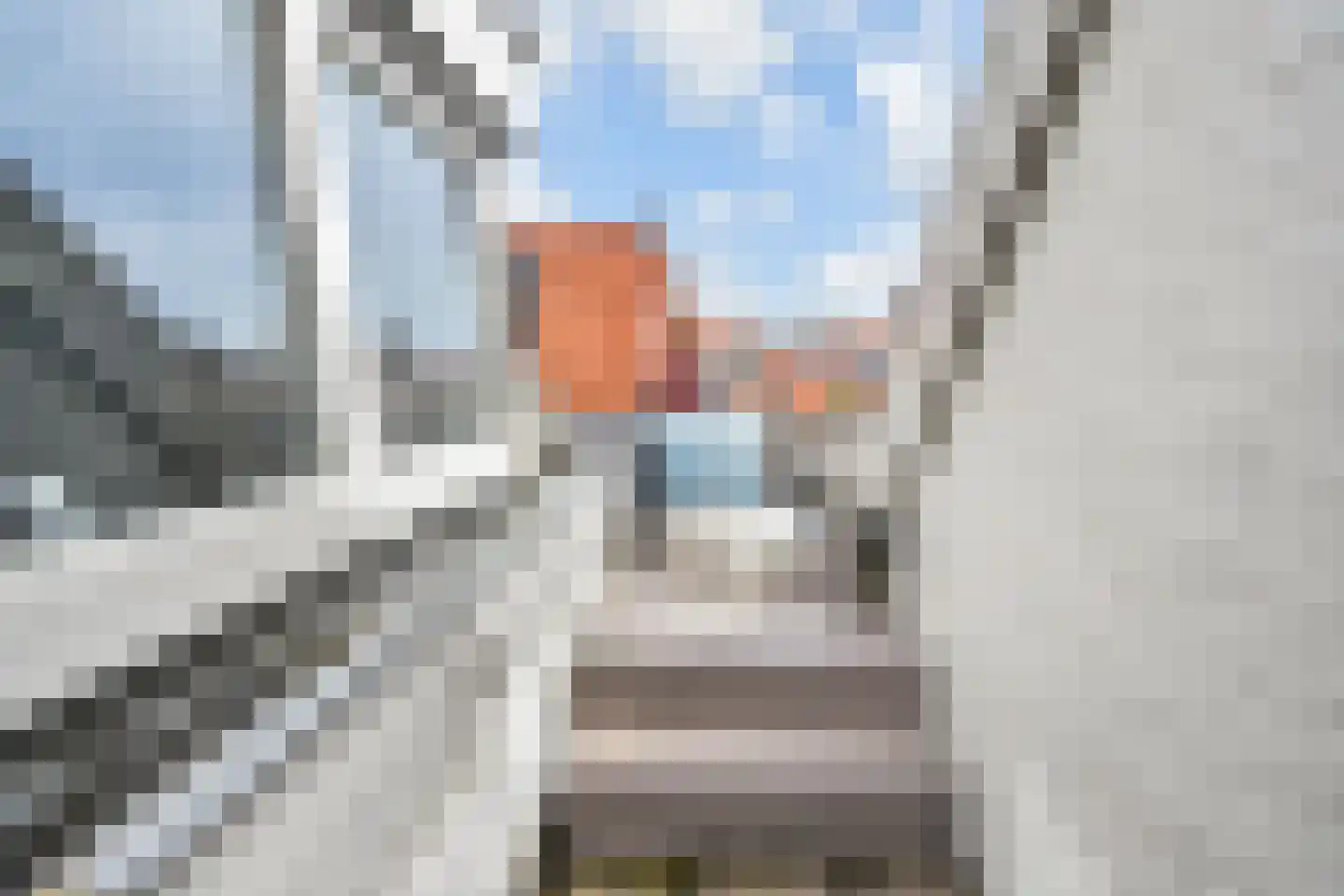 Zeilstraat 113 Den Haag thumbnail 26