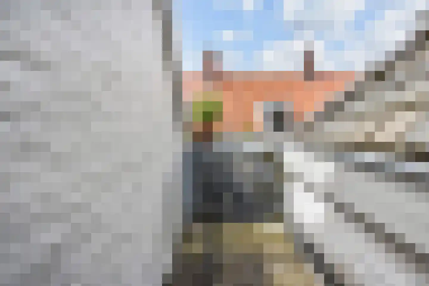 Zeilstraat 113 Den Haag thumbnail 28