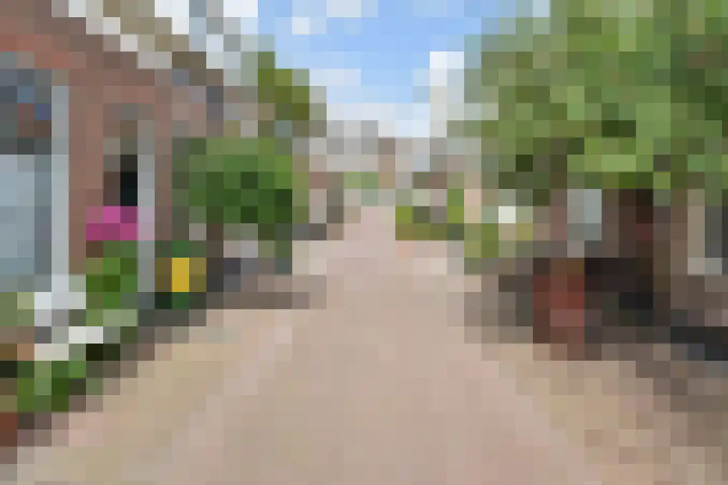 Zeilstraat 113 Den Haag thumbnail 30
