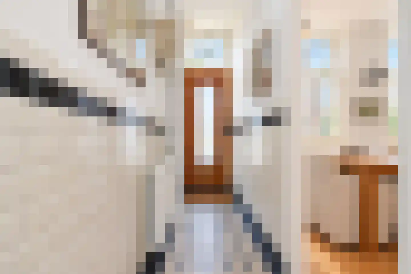 Zeilstraat 140 Den Haag thumbnail 7