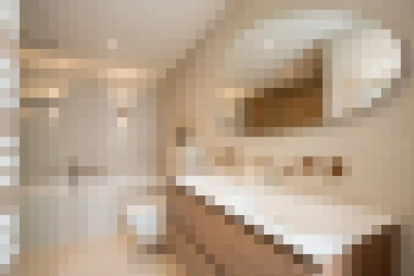 Zeilstraat 24 H Amsterdam thumbnail 22