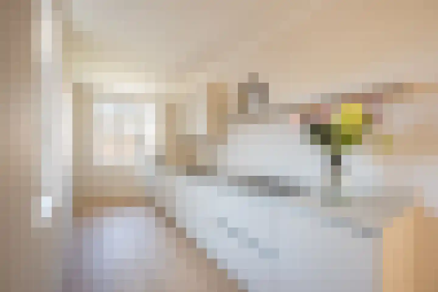 Zeilstraat 24 H Amsterdam thumbnail 8