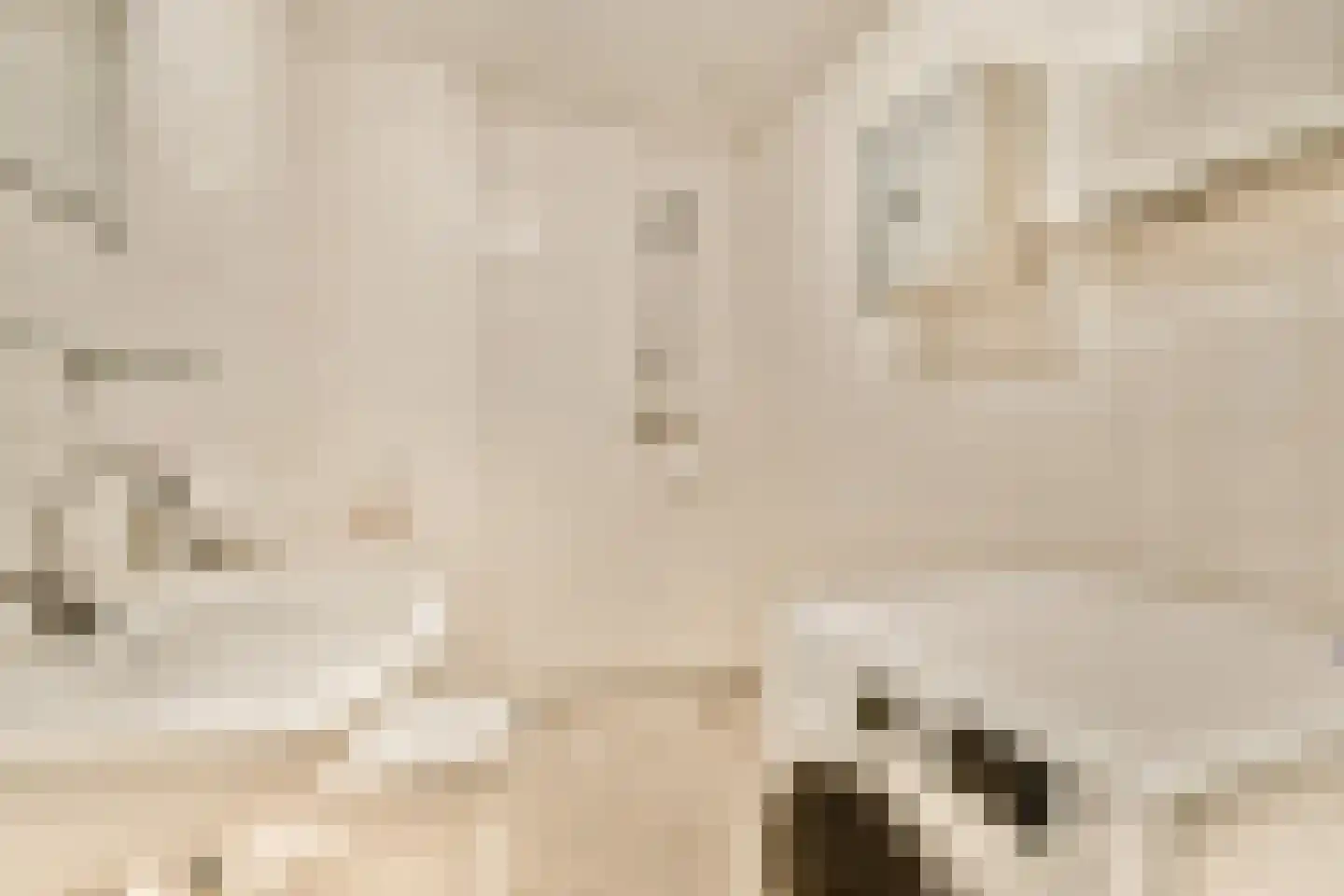 Zeilstraat 27 2 Amsterdam thumbnail 12