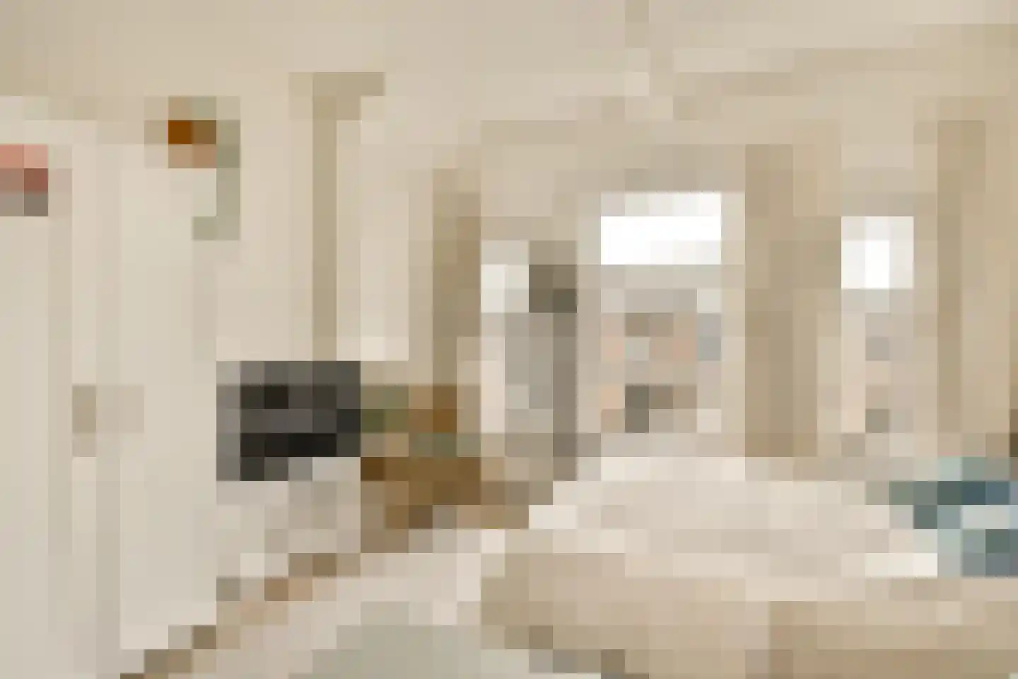 Zeilstraat 27 2 Amsterdam thumbnail 19