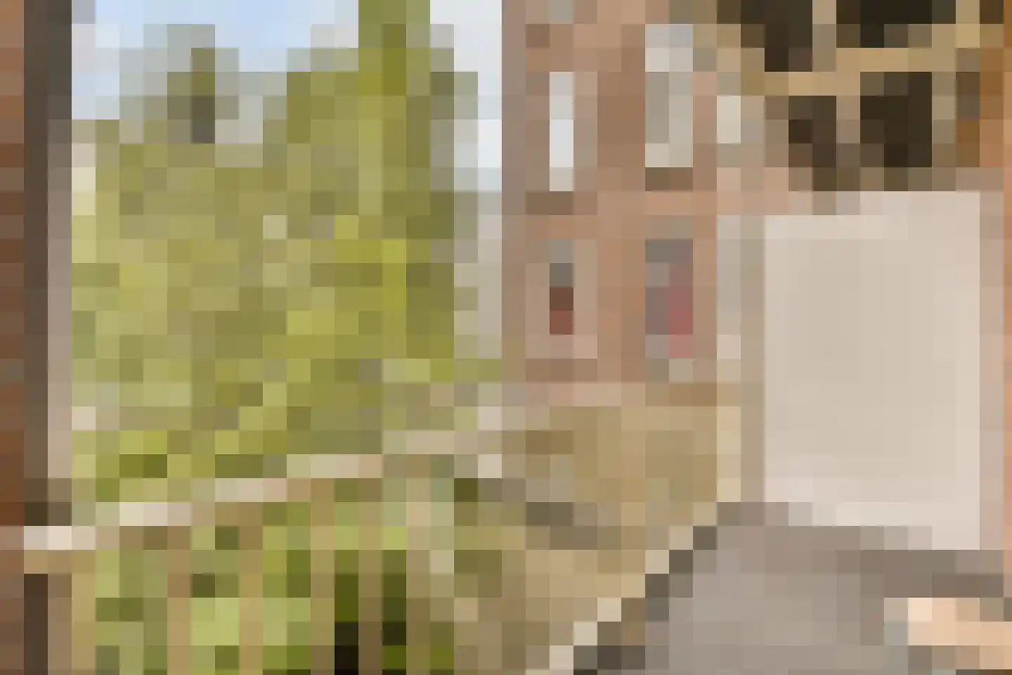 Zeilstraat 27 2 Amsterdam thumbnail 6