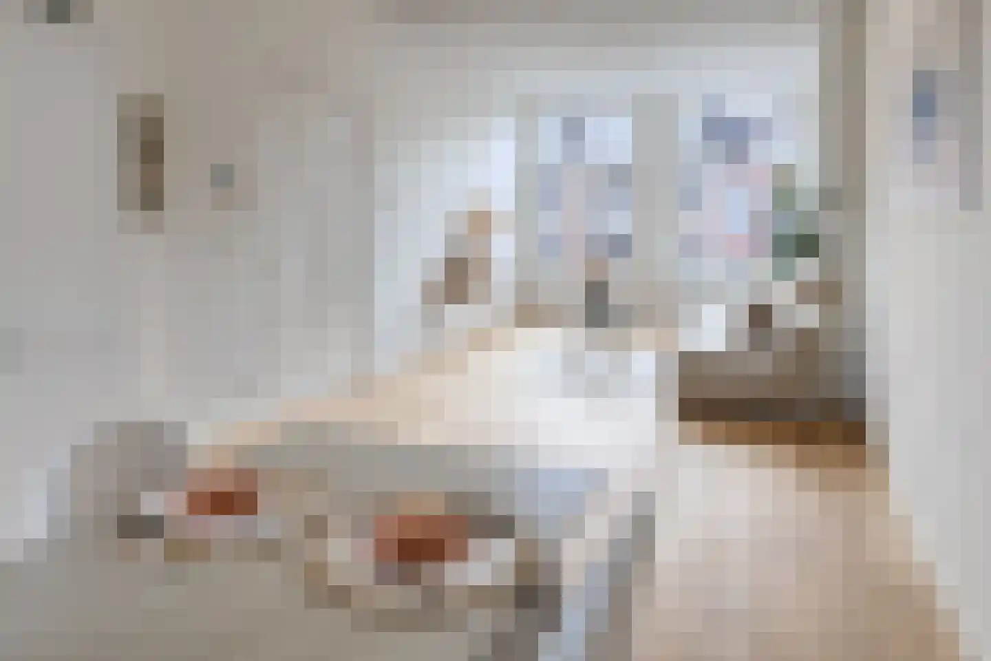 Zeilstraat 32 Amsterdam thumbnail 7