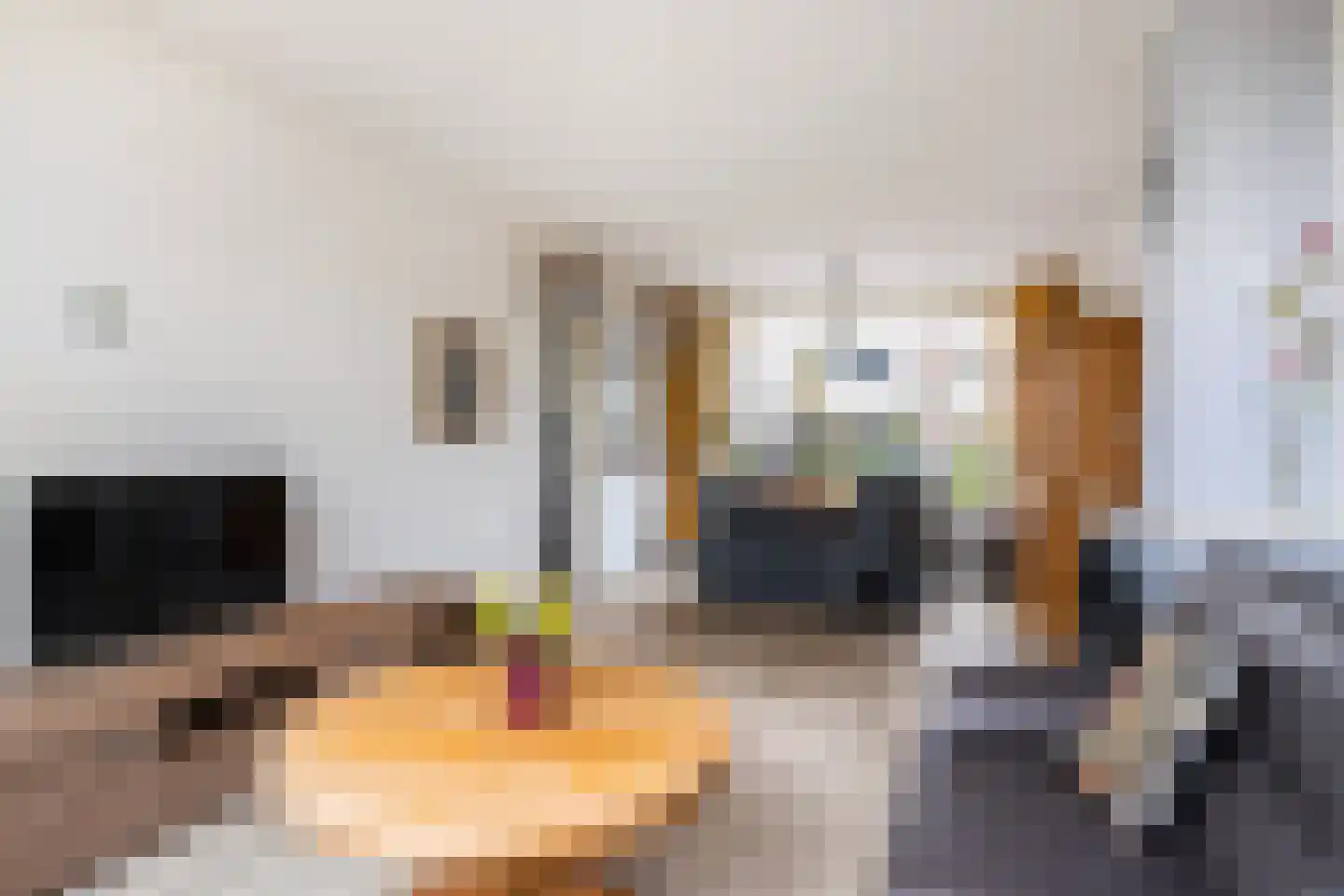 Zeilstraat 44 Sneek thumbnail 13