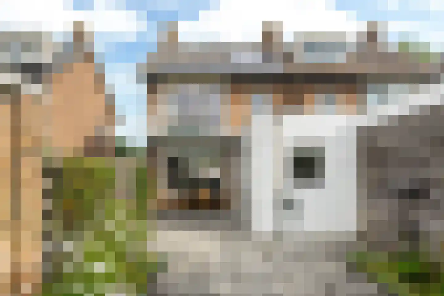 Zeilstraat 44 Sneek thumbnail 19