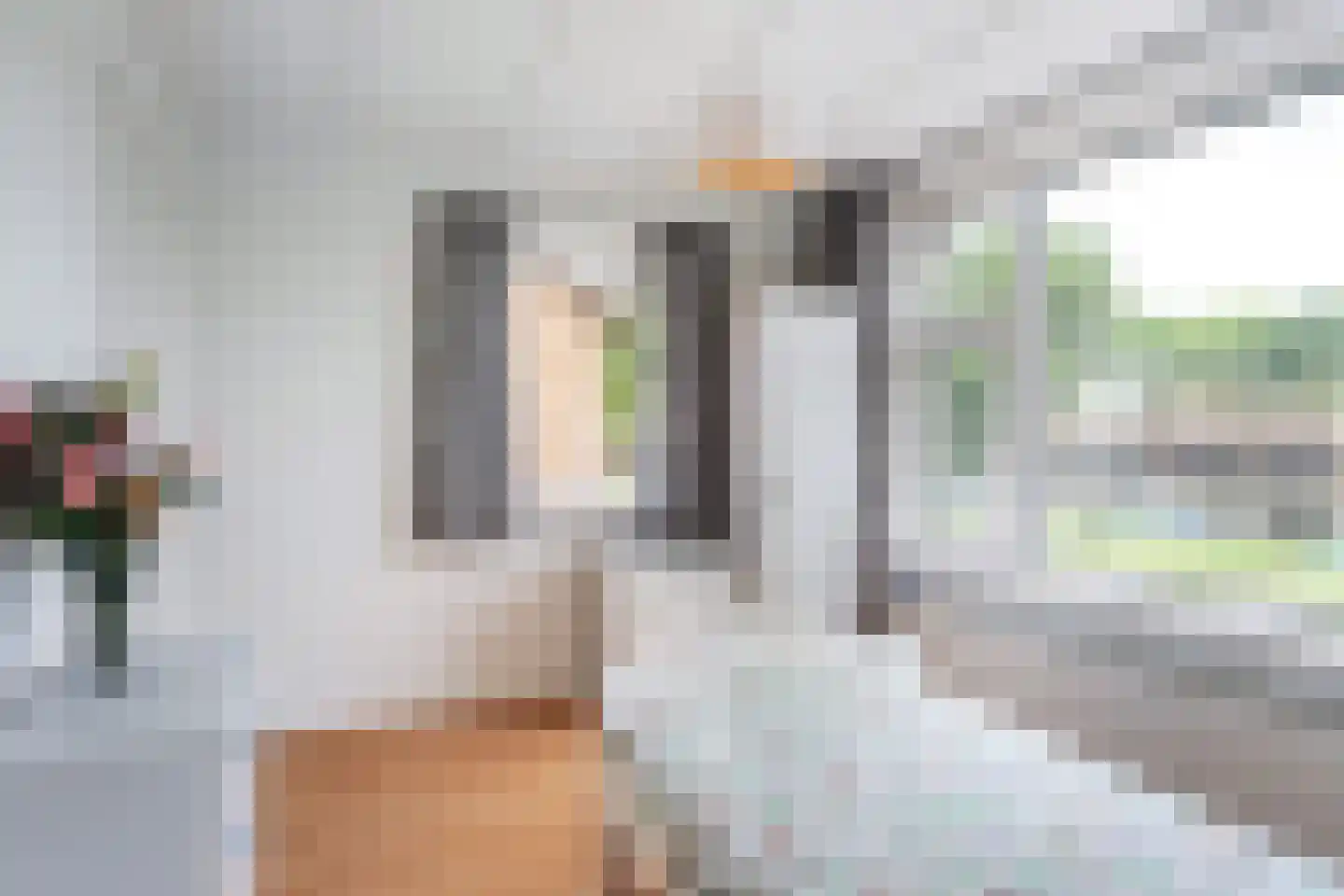 Zeilstraat 44 Sneek thumbnail 31