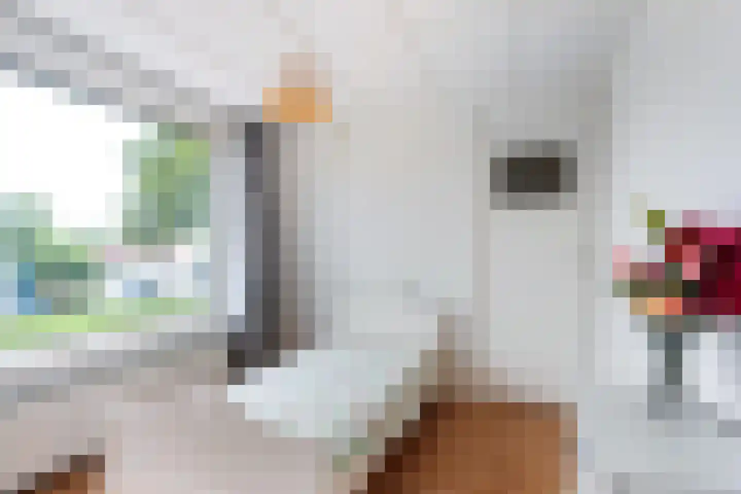 Zeilstraat 44 Sneek thumbnail 32