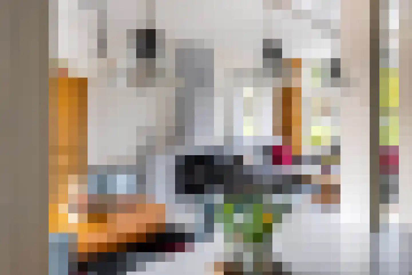 Zeilstraat 44 Sneek thumbnail 40