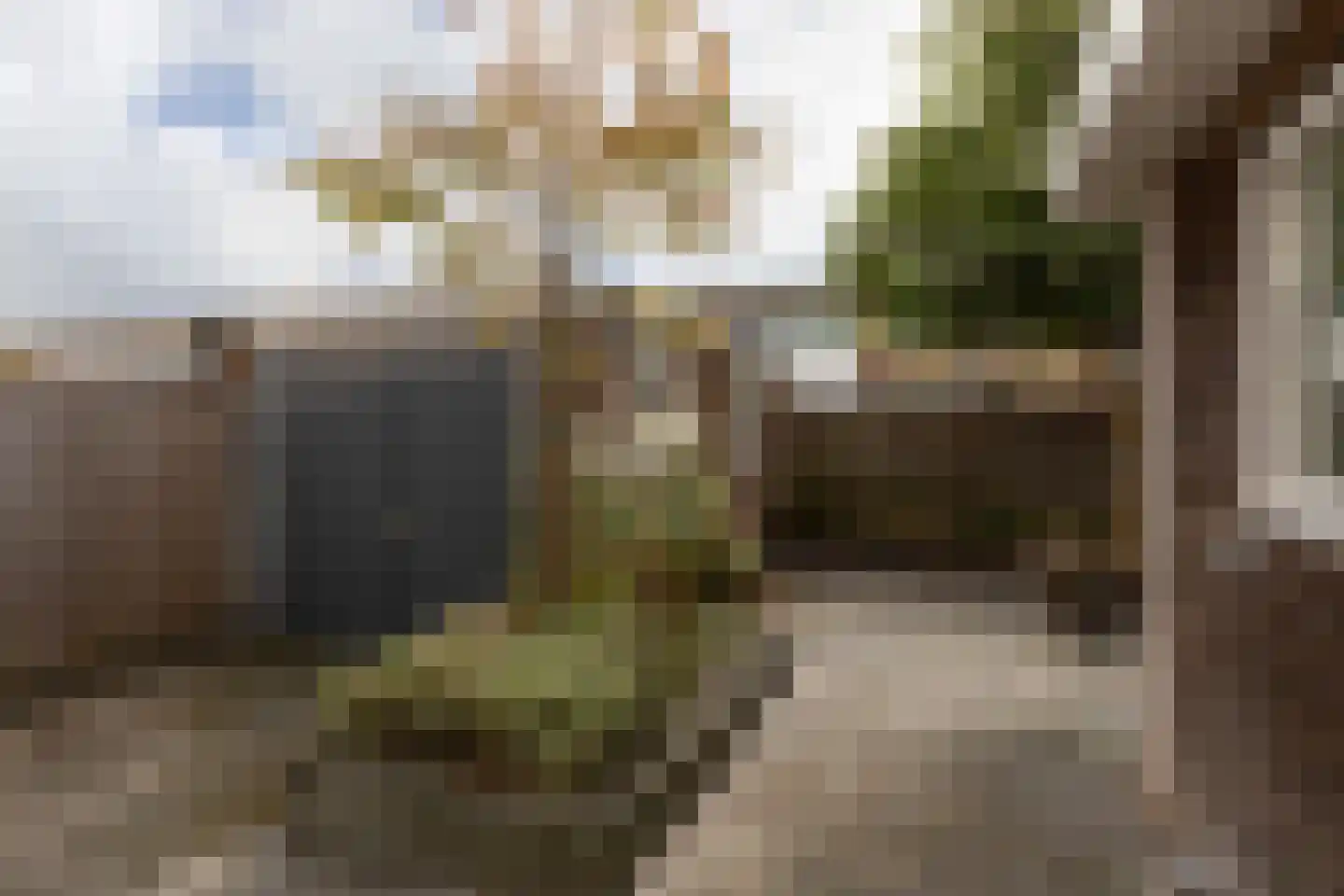 Zeilstraat 46 Sneek thumbnail 31