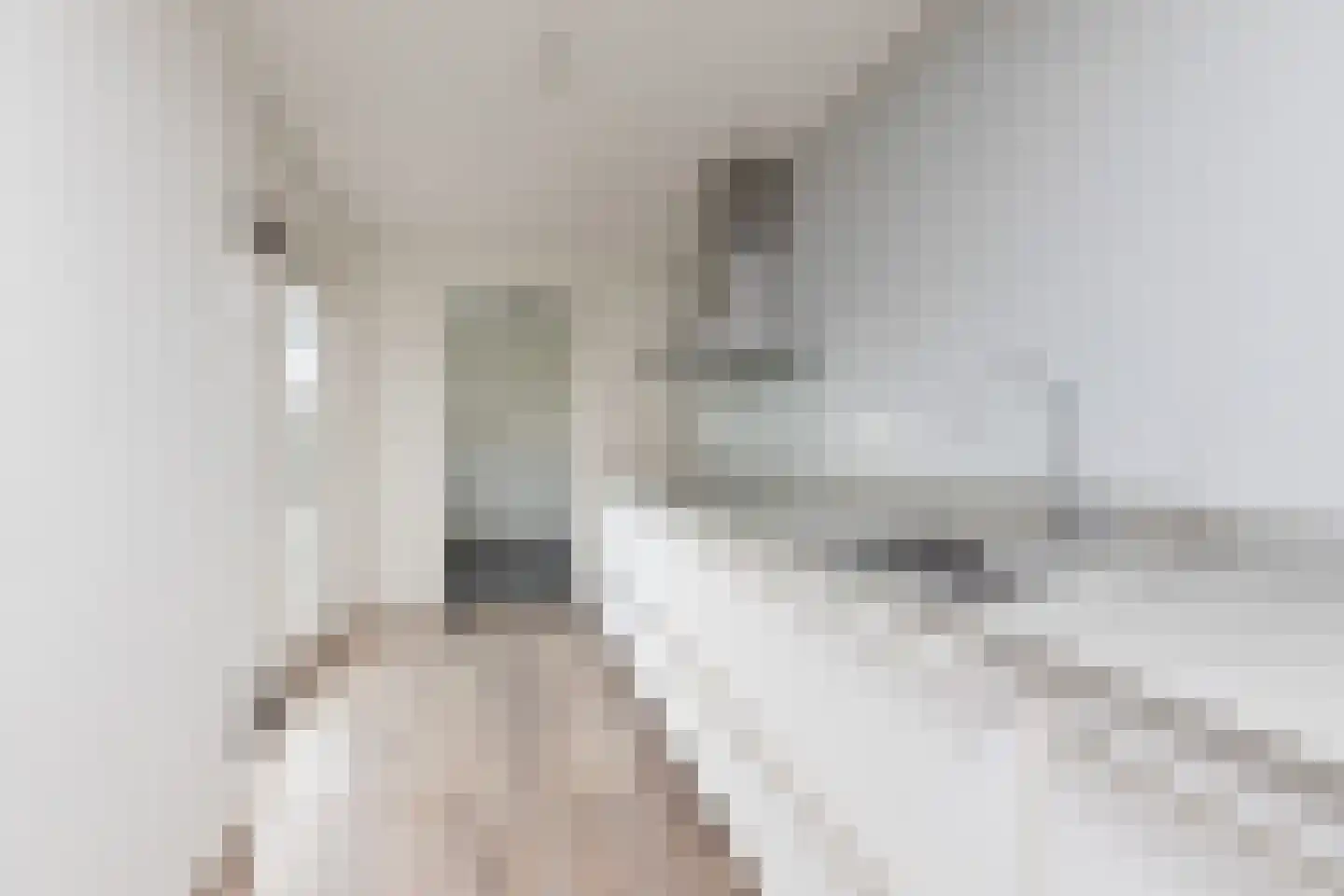 Zeilstraat 46 Sneek thumbnail 9