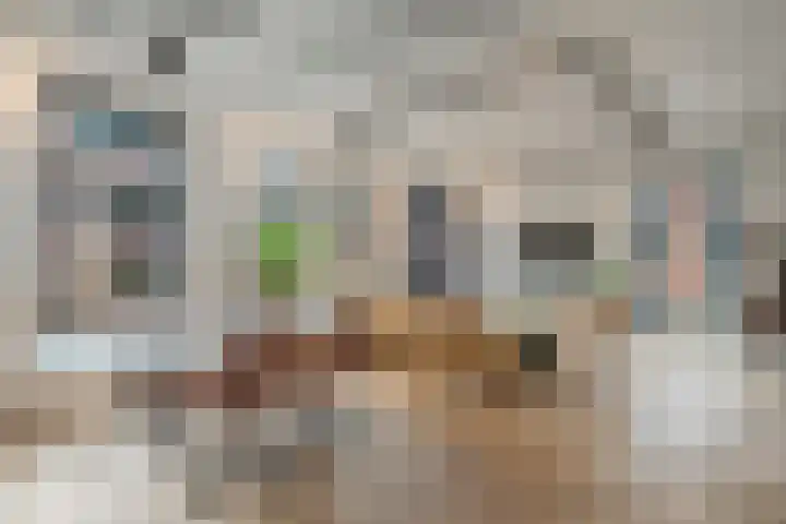 Zeilstraat 50 1 Amsterdam thumbnail 5