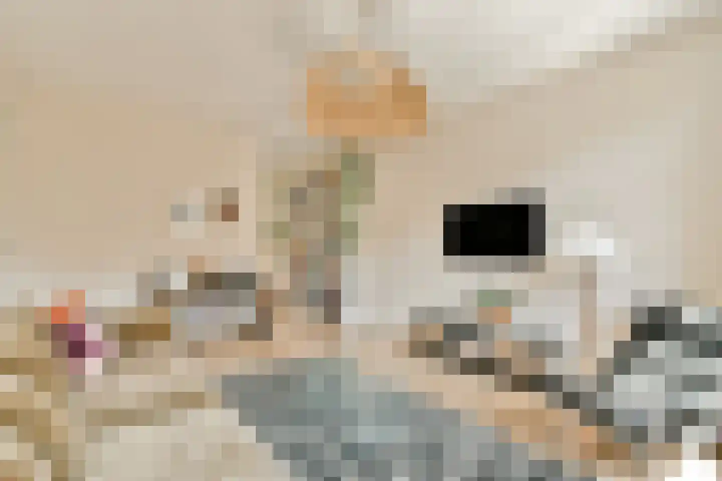 Zeilstraat 58 1 Amsterdam thumbnail 6