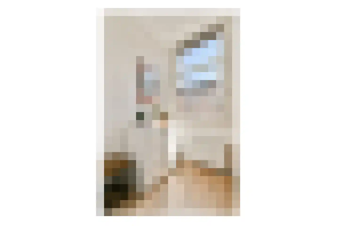 Zeilstraat 58 2 Amsterdam thumbnail 17