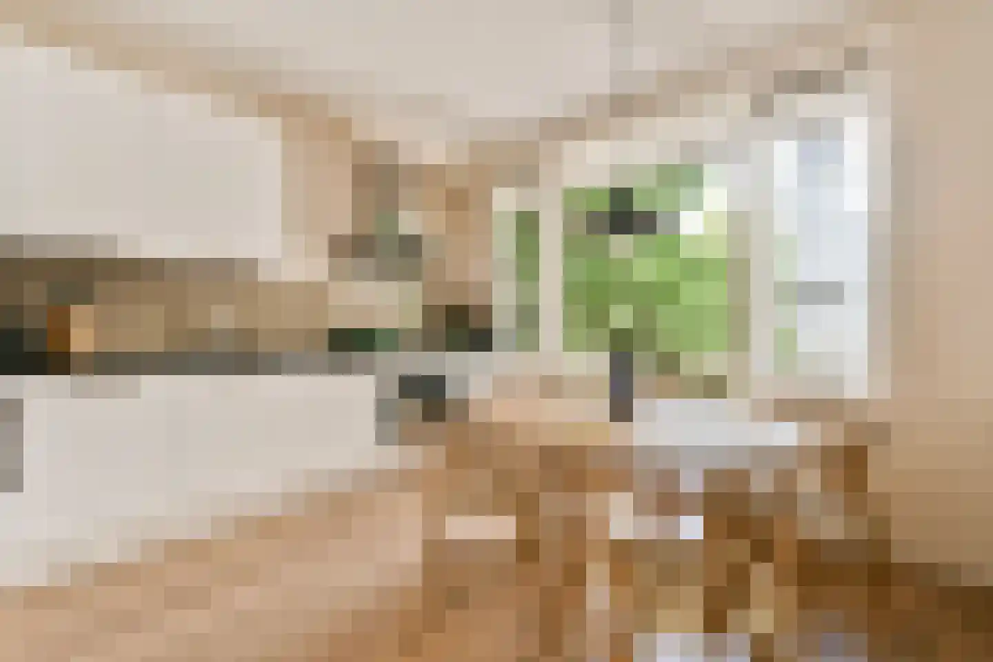 Zeilstraat 58 2 Amsterdam thumbnail 7