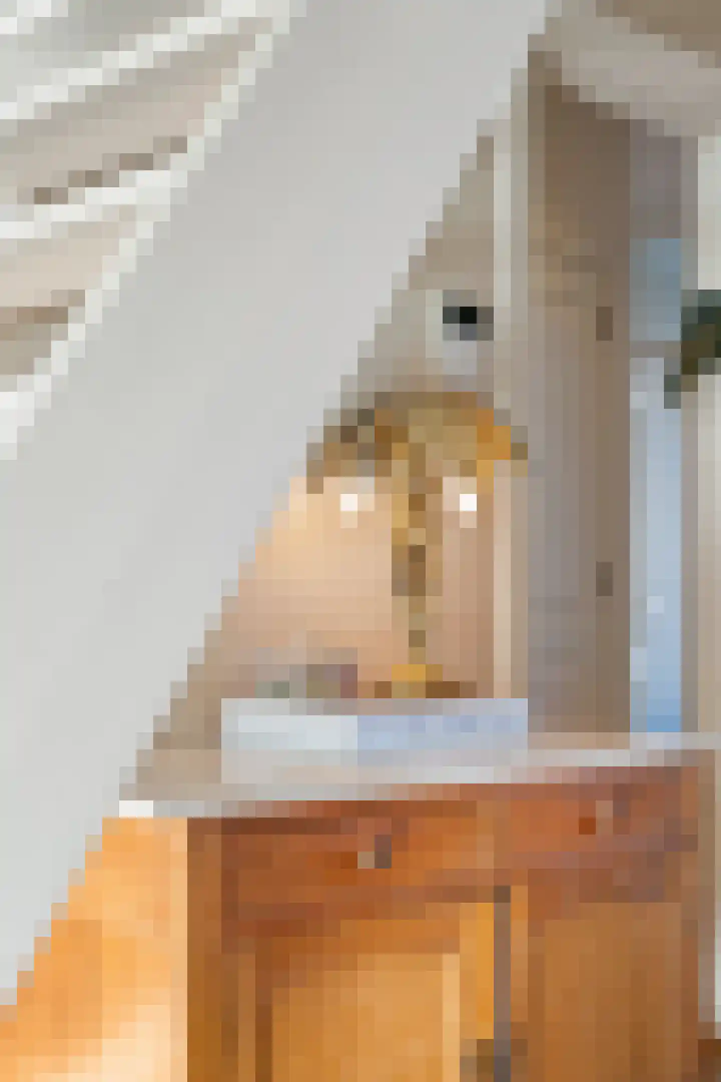 Zeilstraat 6 1 Amsterdam thumbnail 13