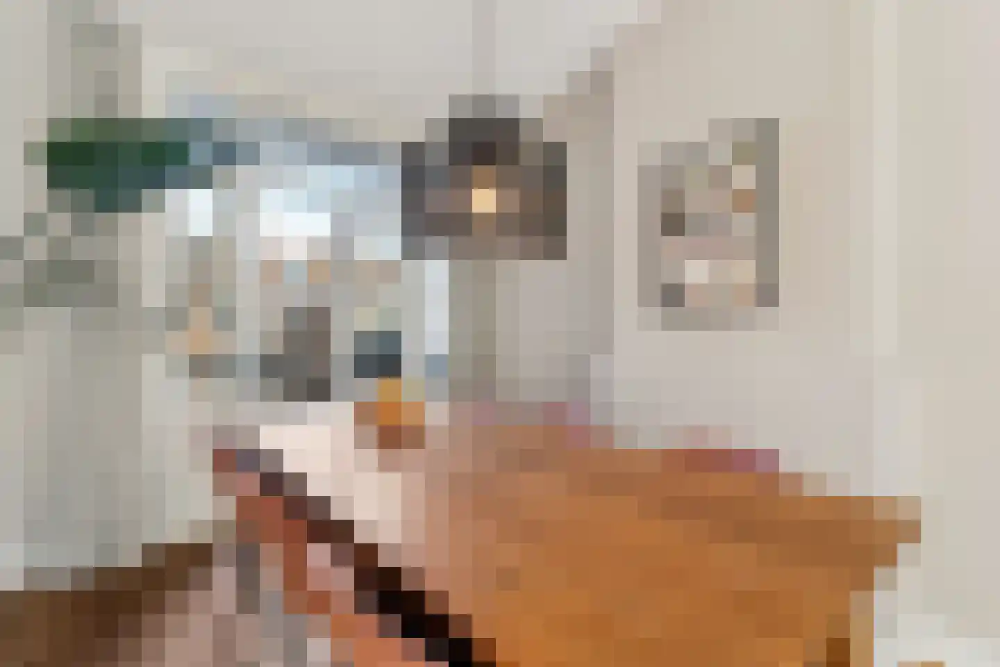 Zeilstraat 6 1 Amsterdam thumbnail 14
