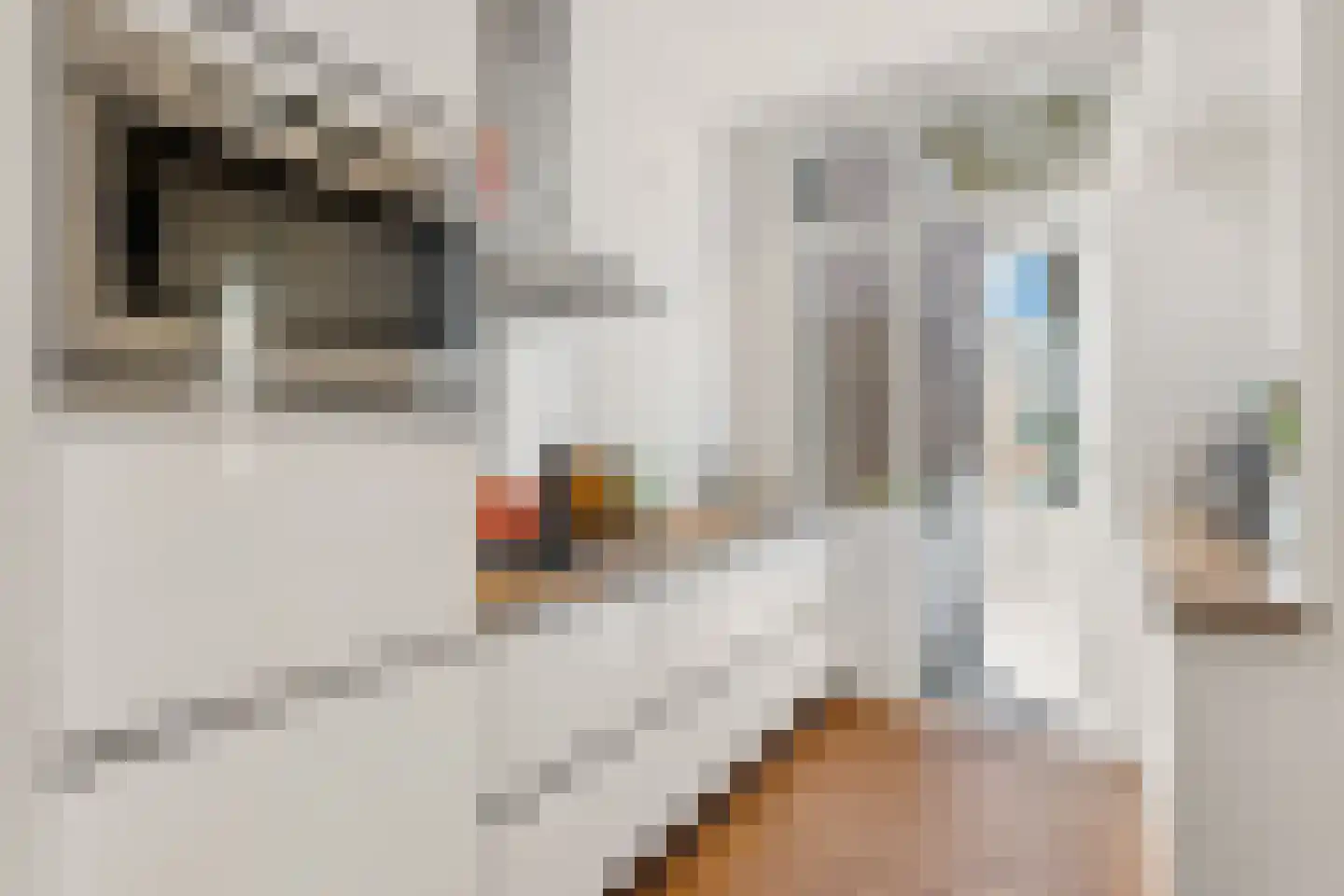 Zeilstraat 6 1 Amsterdam thumbnail 18