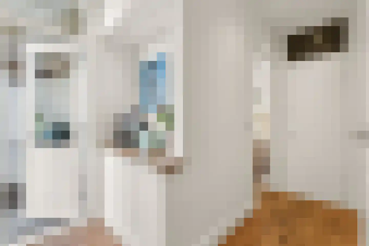 Zeilstraat 6 1 Amsterdam thumbnail 21
