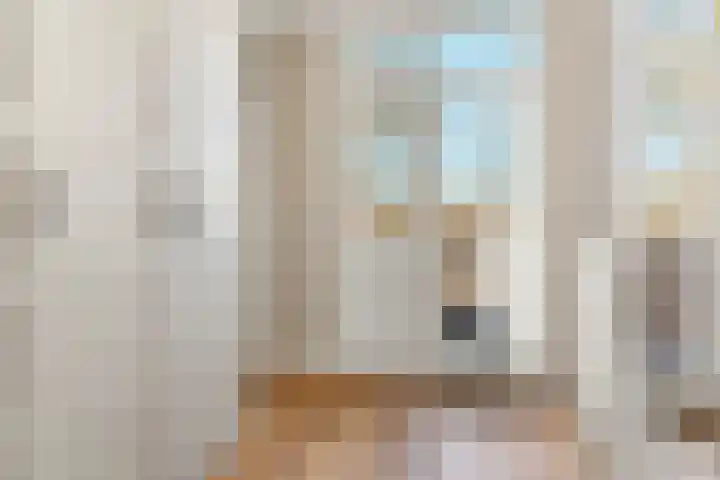 Zeilstraat 6 3 Amsterdam thumbnail 31