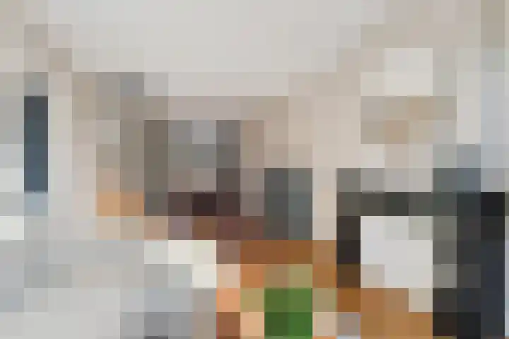 Zeilstraat 6 3 Amsterdam thumbnail 9
