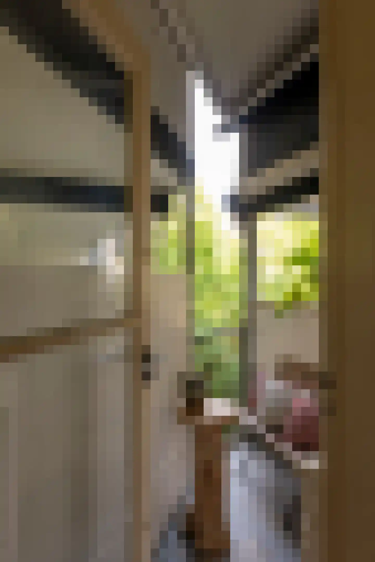 Zeilstraat 64 2 Amsterdam thumbnail 15