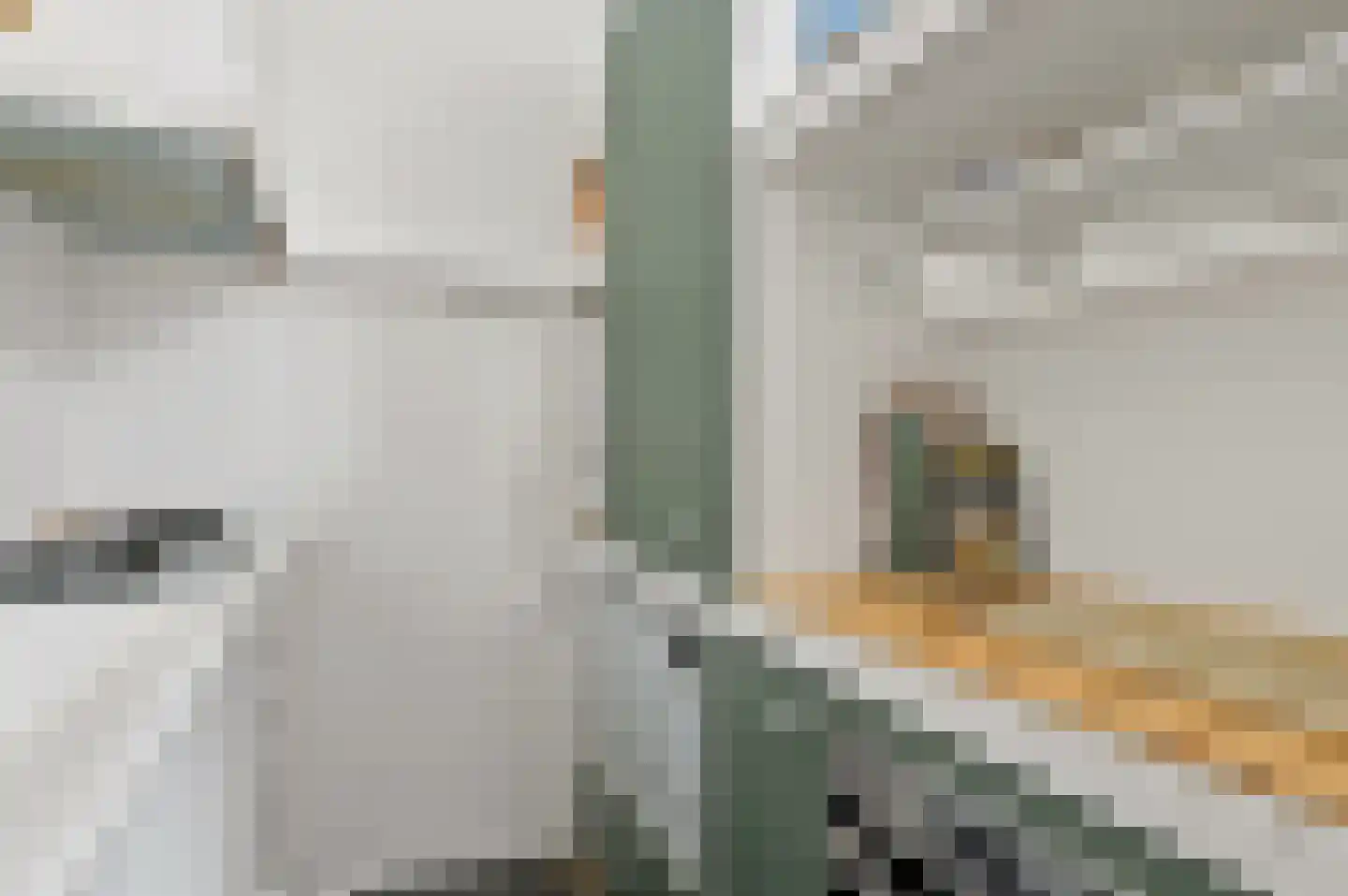 Zeilstraat 67 Den Haag thumbnail 6
