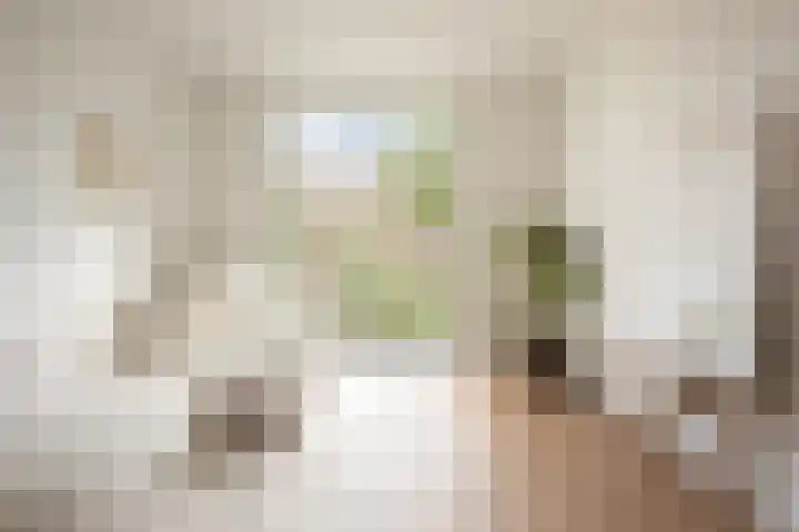 Zeilstraat 7 3 Amsterdam thumbnail 14